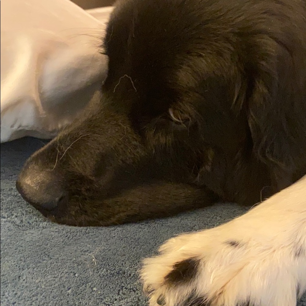 Meet your Posher, June